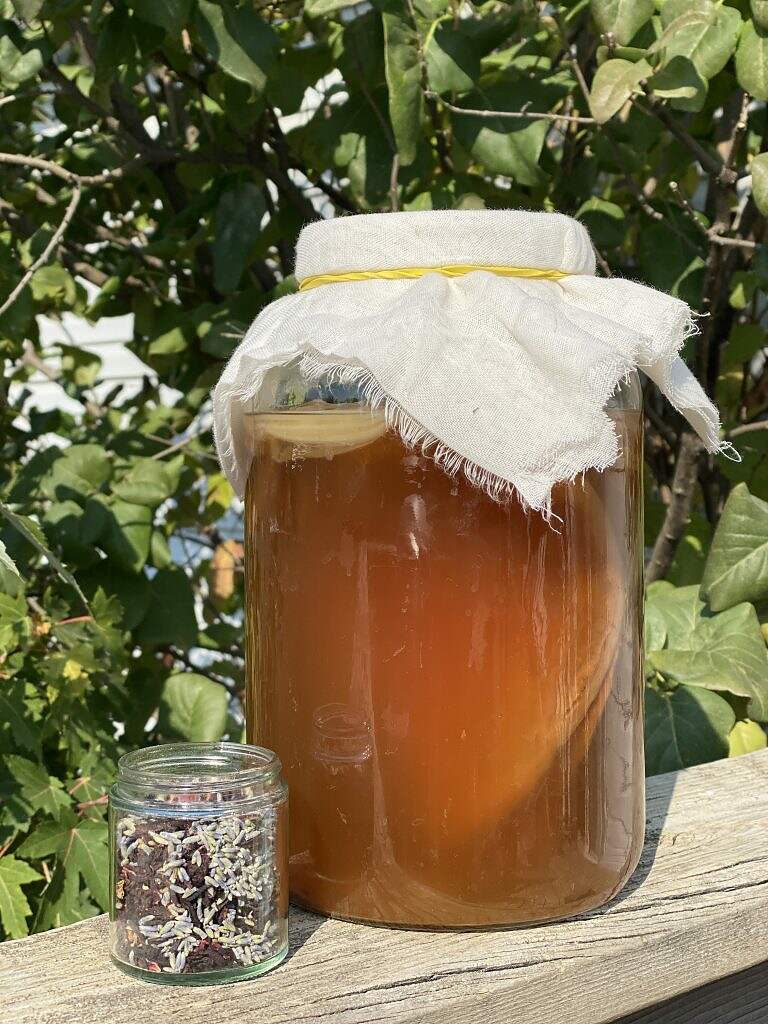 Kombucha, SCOBY + Flavoring with Herbal Tea